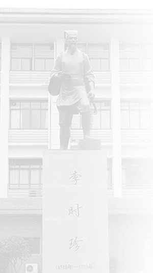 尊敬的用户，您好！